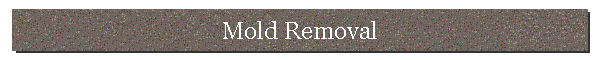 Mold Removal