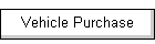 Vehicle Purchase
