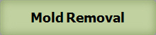 Mold Removal
